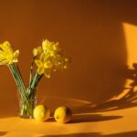 home staging agen maison langel