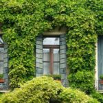 home staging agen maison langel