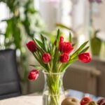 home staging agen maison langel