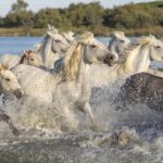 avons nous des devoirs envers la nature