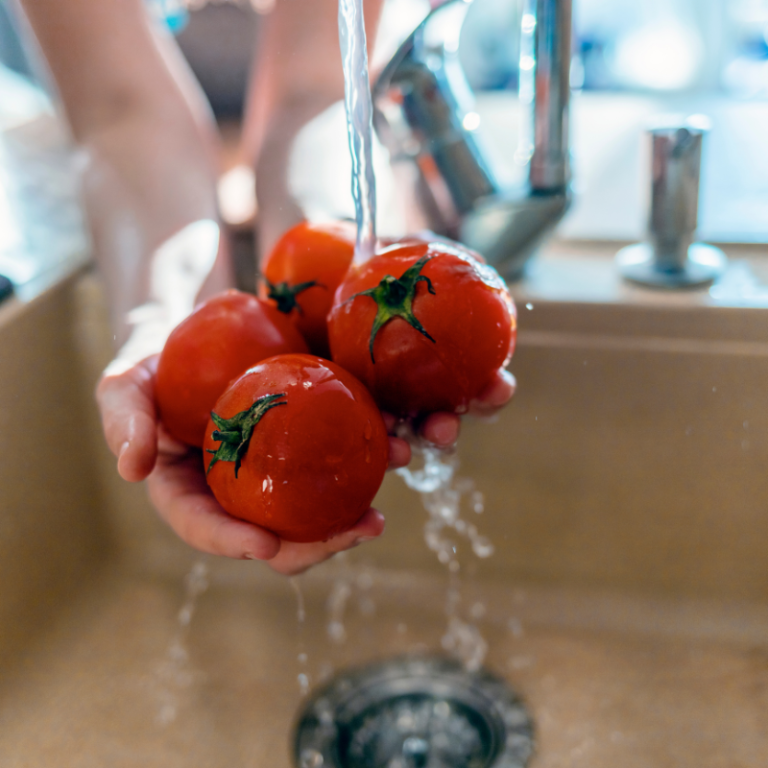 Carafe filtrante ou purificateur d&rsquo;eau sous évier : quel est le meilleur choix pour votre maison ?